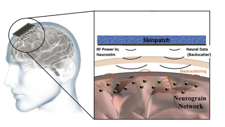 Neurograin Microchips Brain Implant Cerebral Cortex. Mind-Reader AI / ML