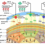 Neurograin Microchips Brain Implant. Mind-Reader AI / ML Radio Signal Diagram