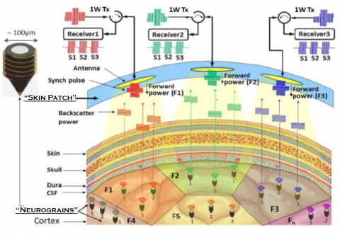 Neurograin Microchips Brain Implant. Mind-Reader AI / ML Radio Signal Diagram